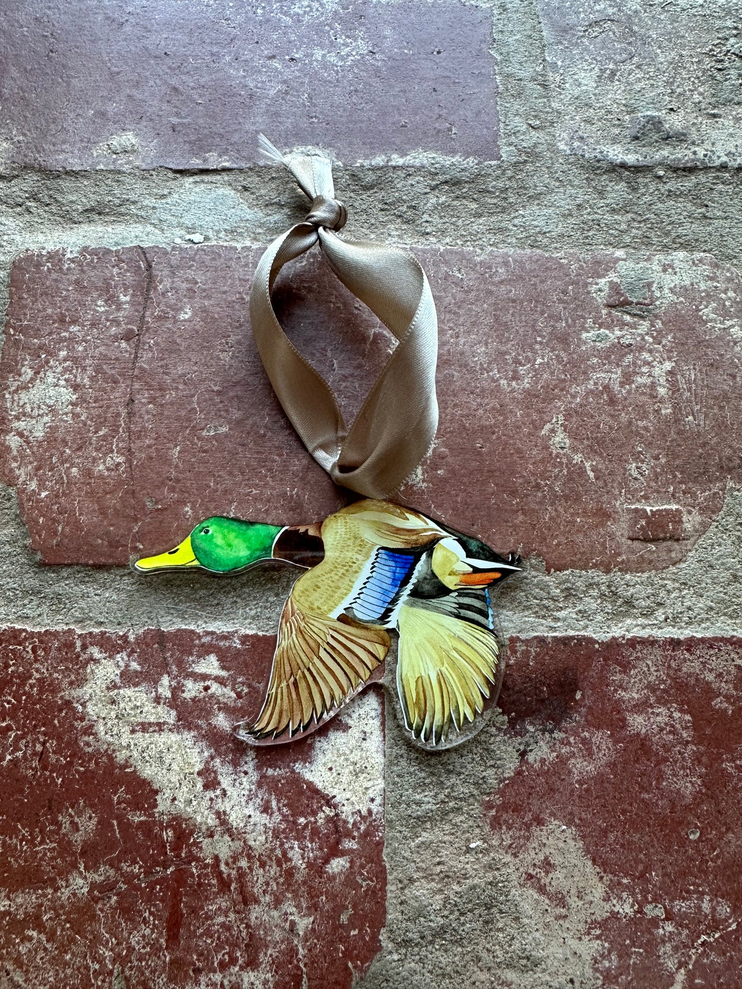 Mallard Acrylic Ornament