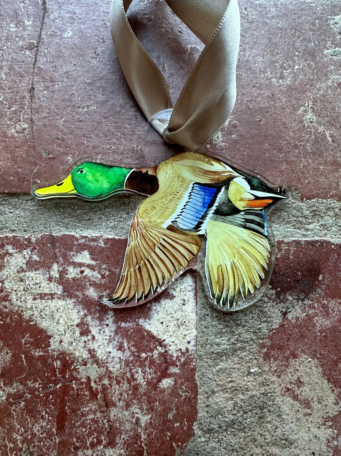 Mallard Acrylic Ornament